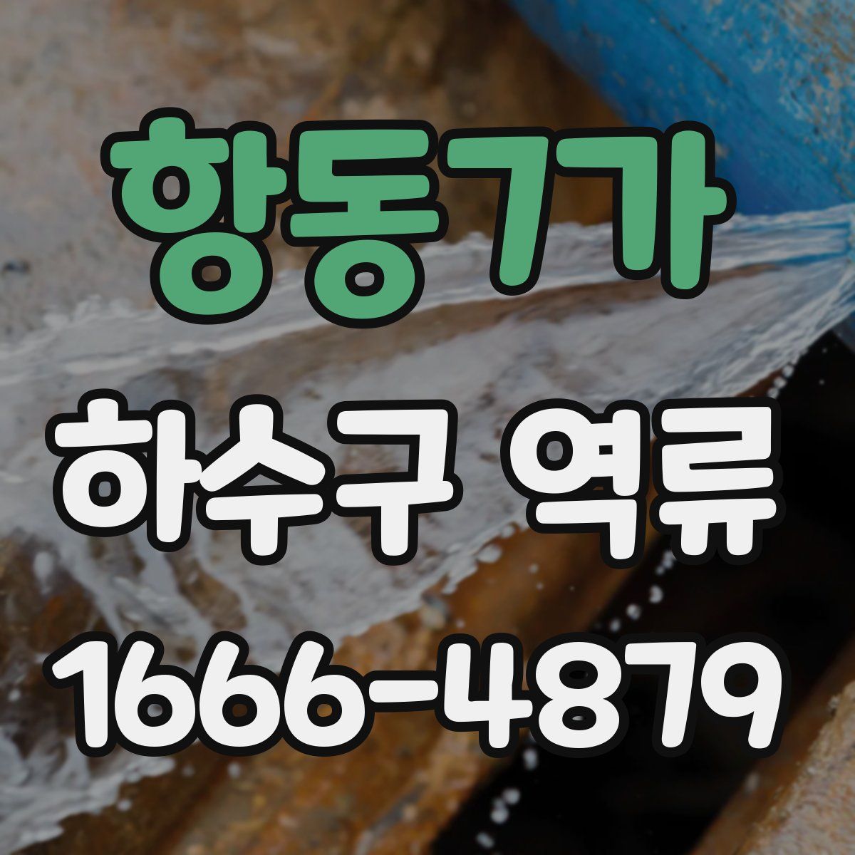 항동7가 하수구 역류