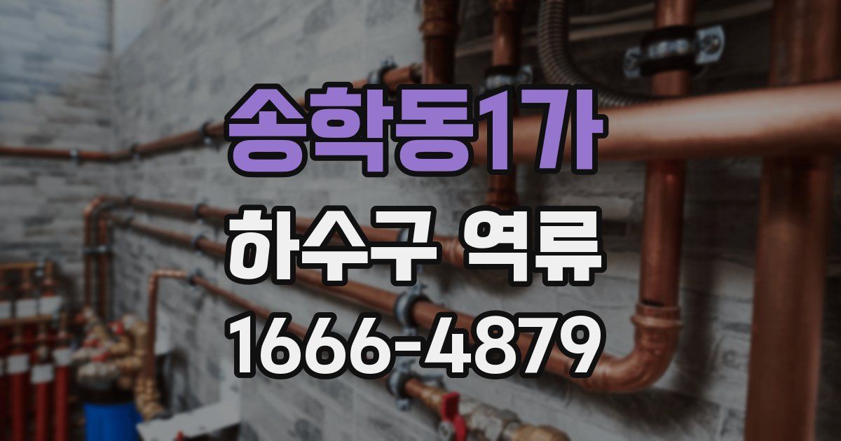 송학동1가 하수구 역류