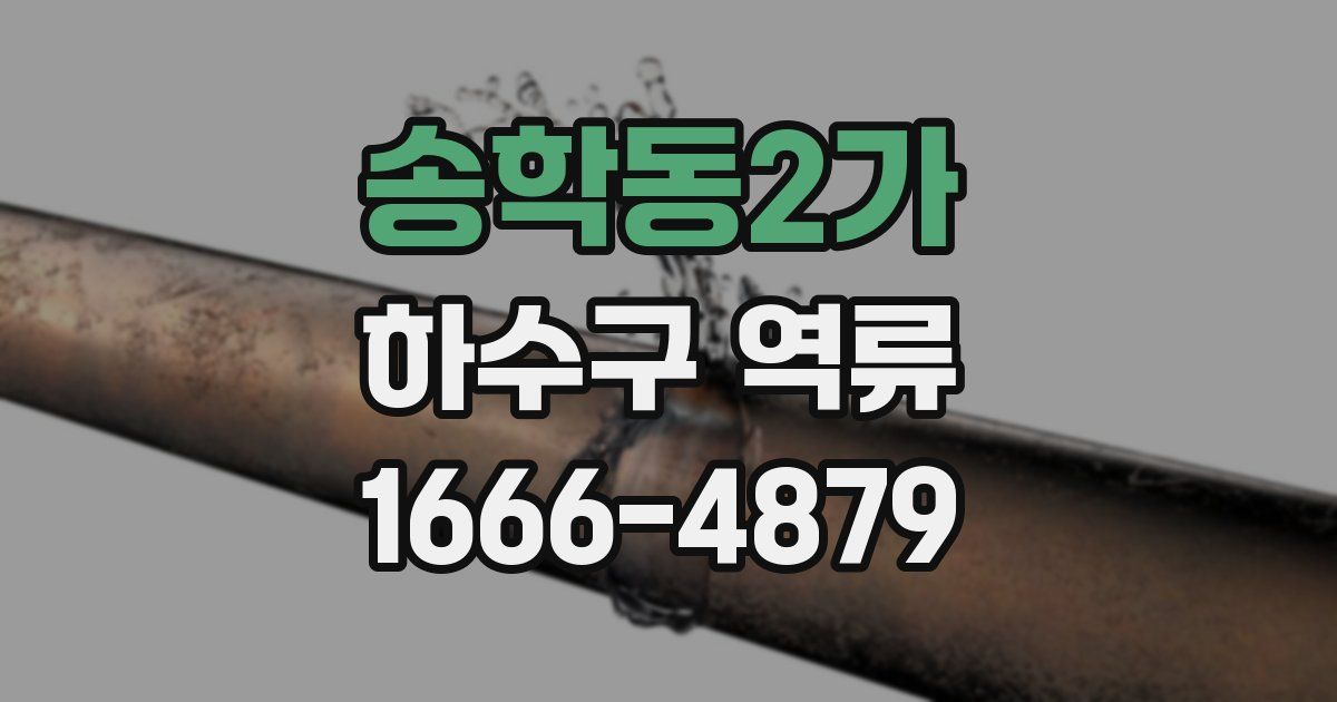 송학동2가 하수구 역류