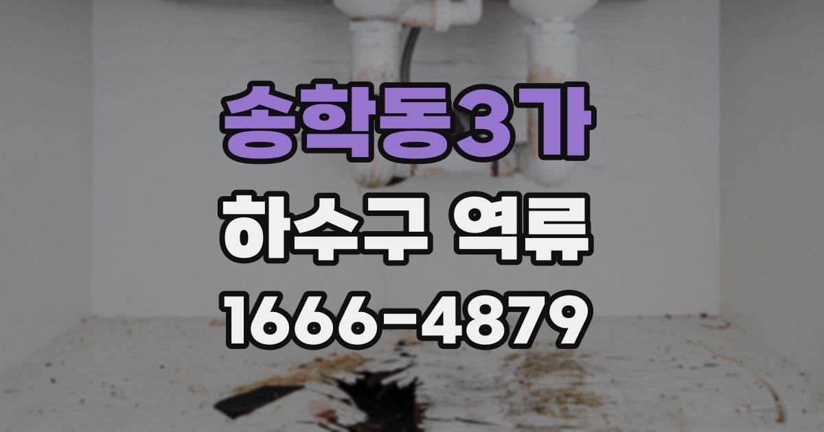송학동3가 하수구 역류