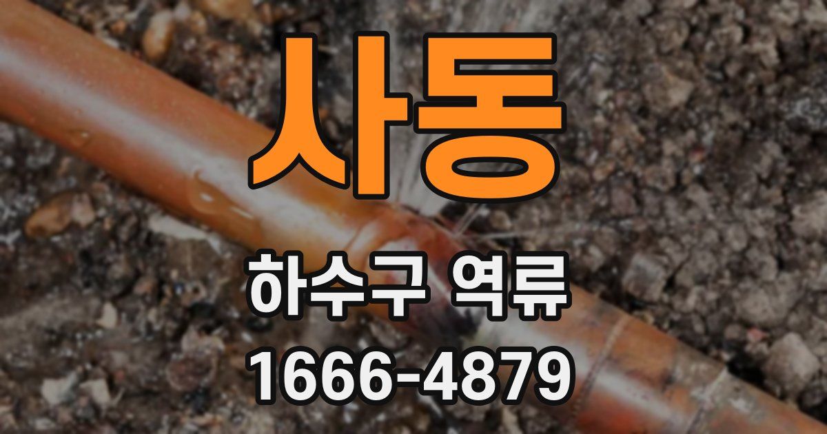 사동 하수구 역류