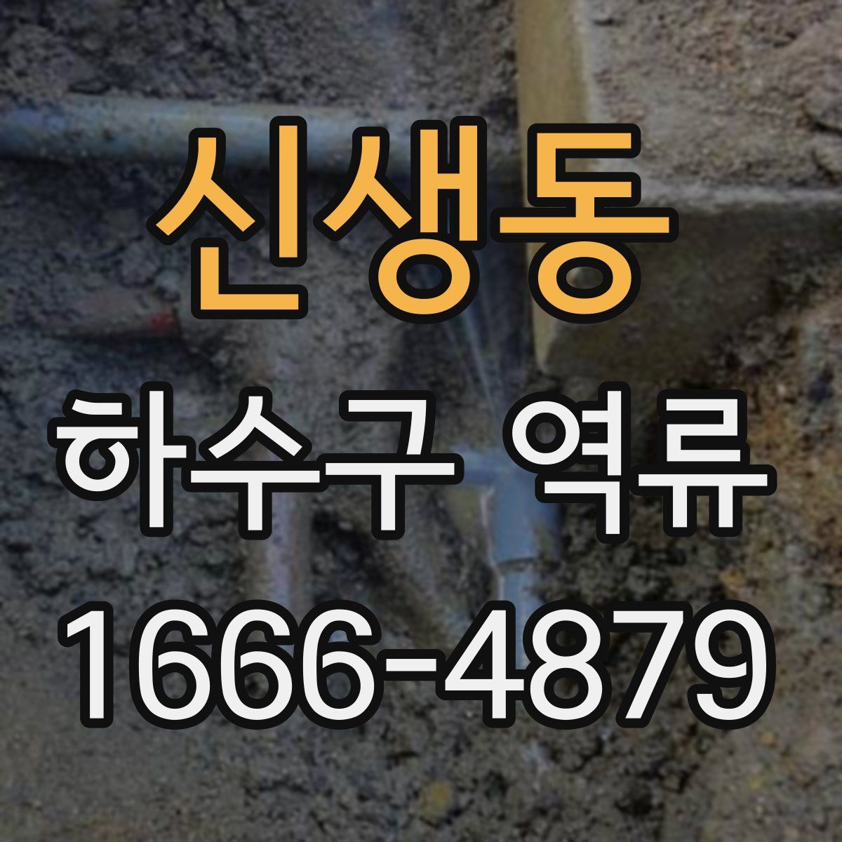 신생동 하수구 역류