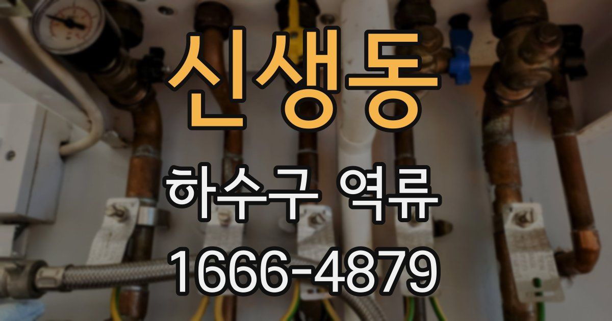 신생동 하수구 역류
