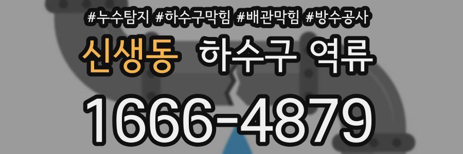 신생동 하수구 역류