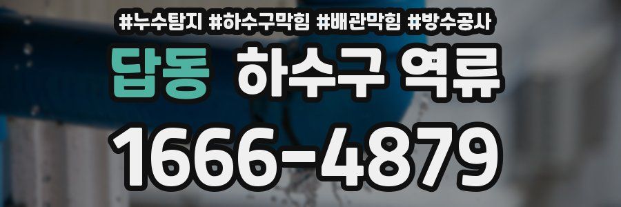 답동 하수구 역류