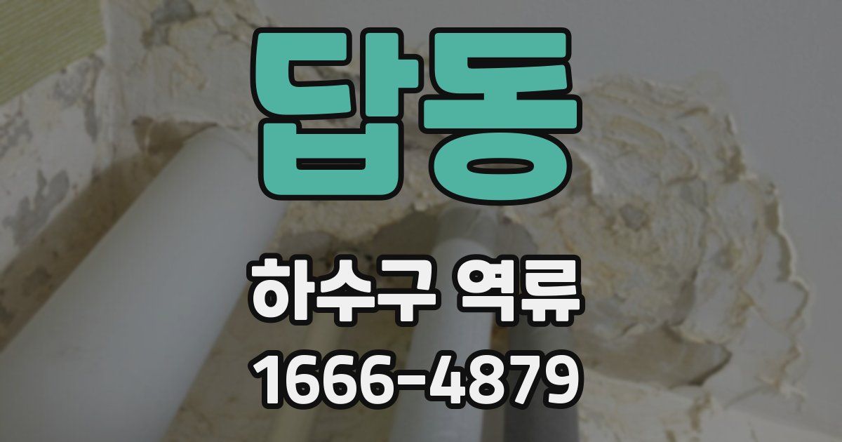 답동 하수구 역류