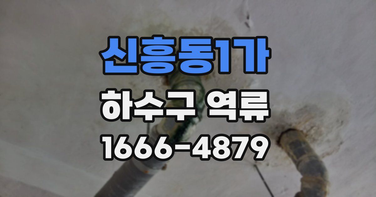 신흥동1가 하수구 역류