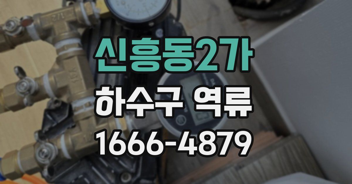 신흥동2가 하수구 역류