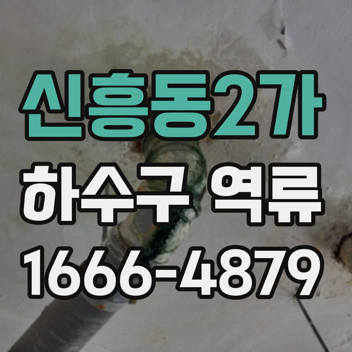 신흥동2가 하수구 역류