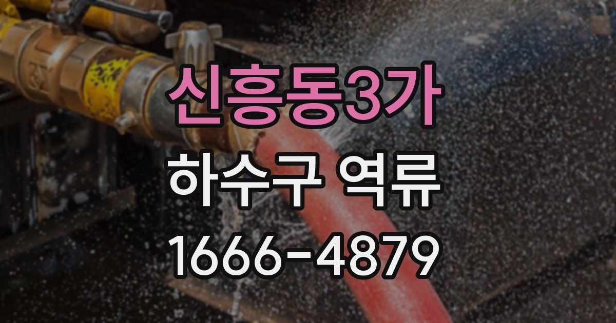 신흥동3가 하수구 역류