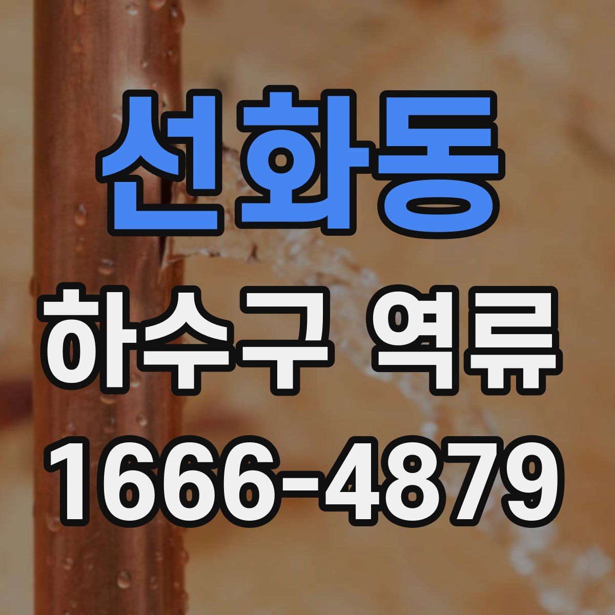 선화동 하수구 역류
