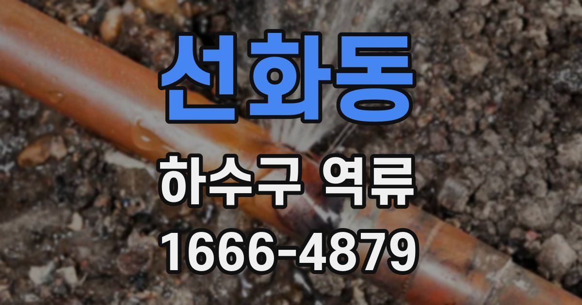 선화동 하수구 역류