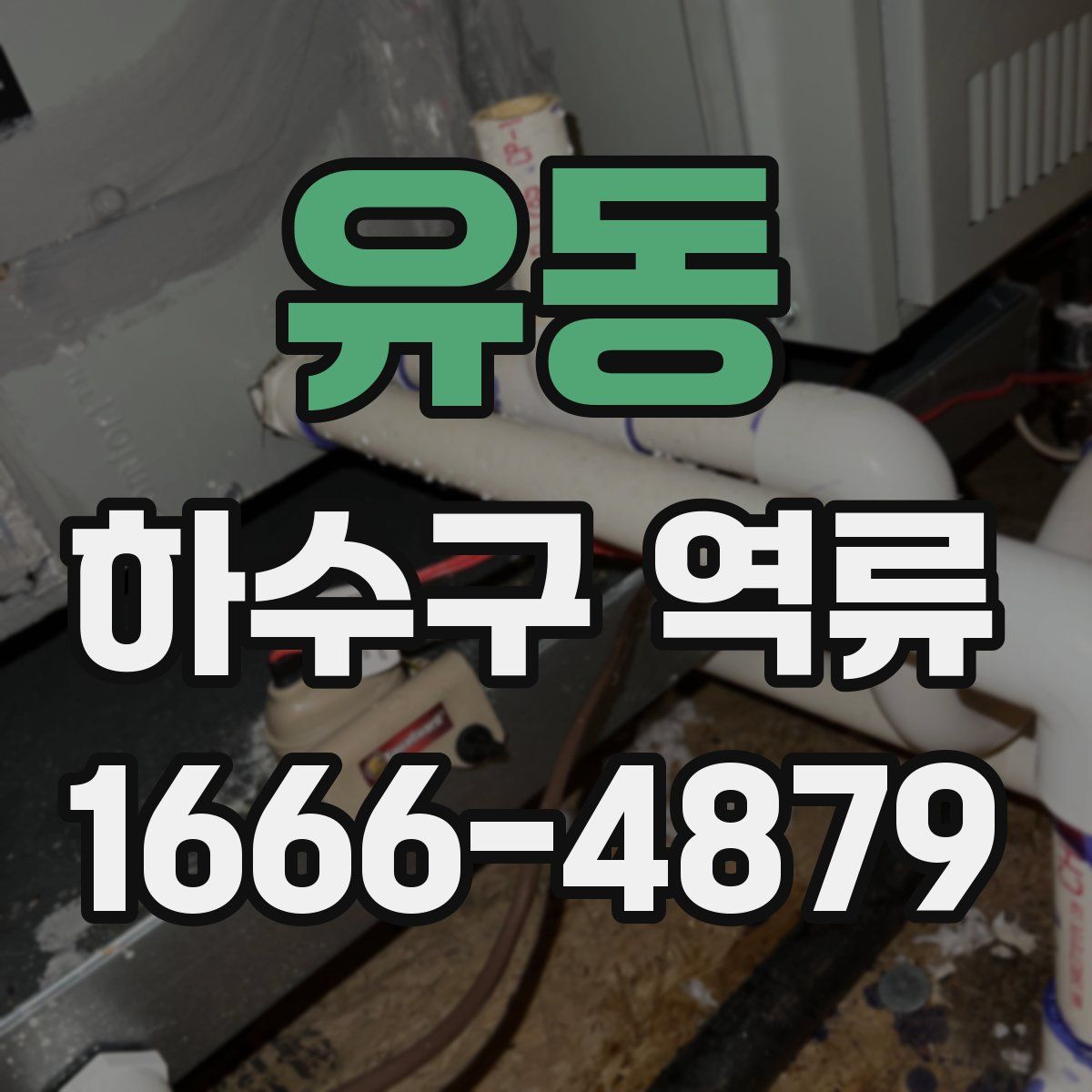 유동 하수구 역류