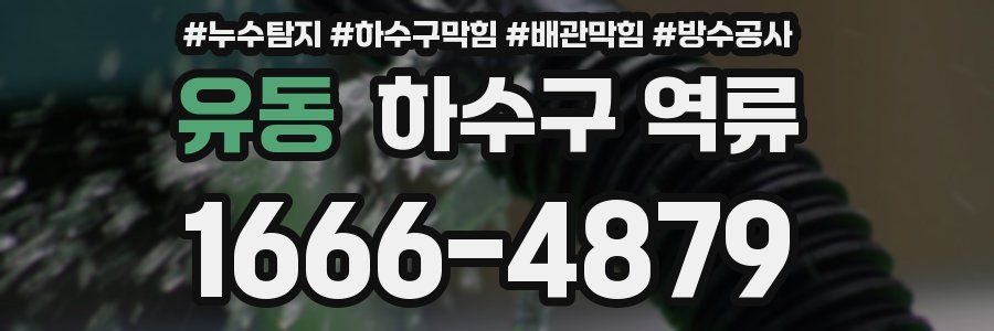 유동 하수구 역류