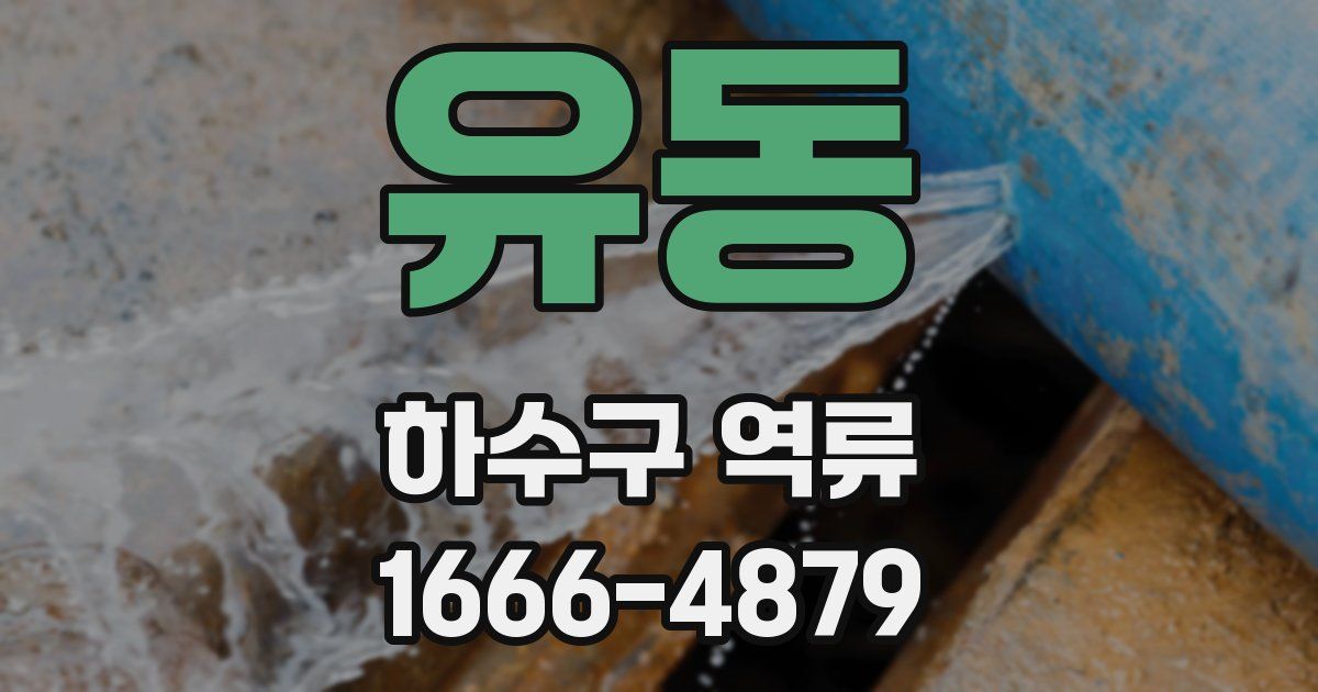 유동 하수구 역류