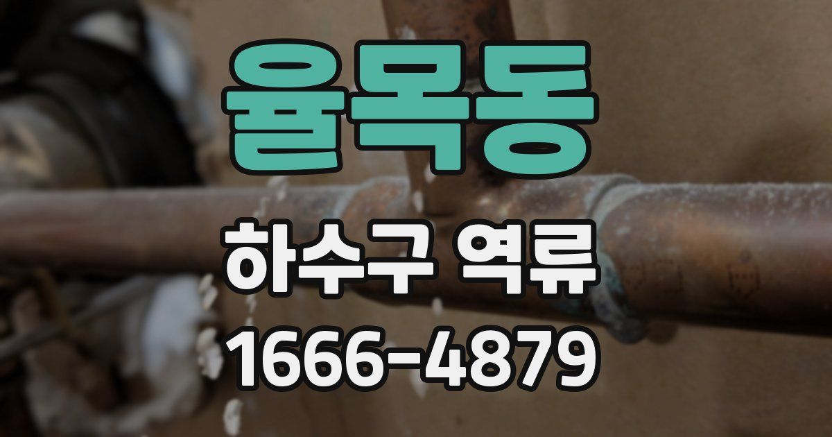 율목동 하수구 역류