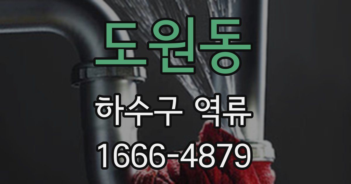 도원동 하수구 역류