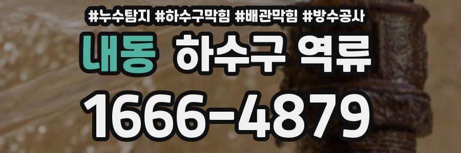 내동 하수구 역류