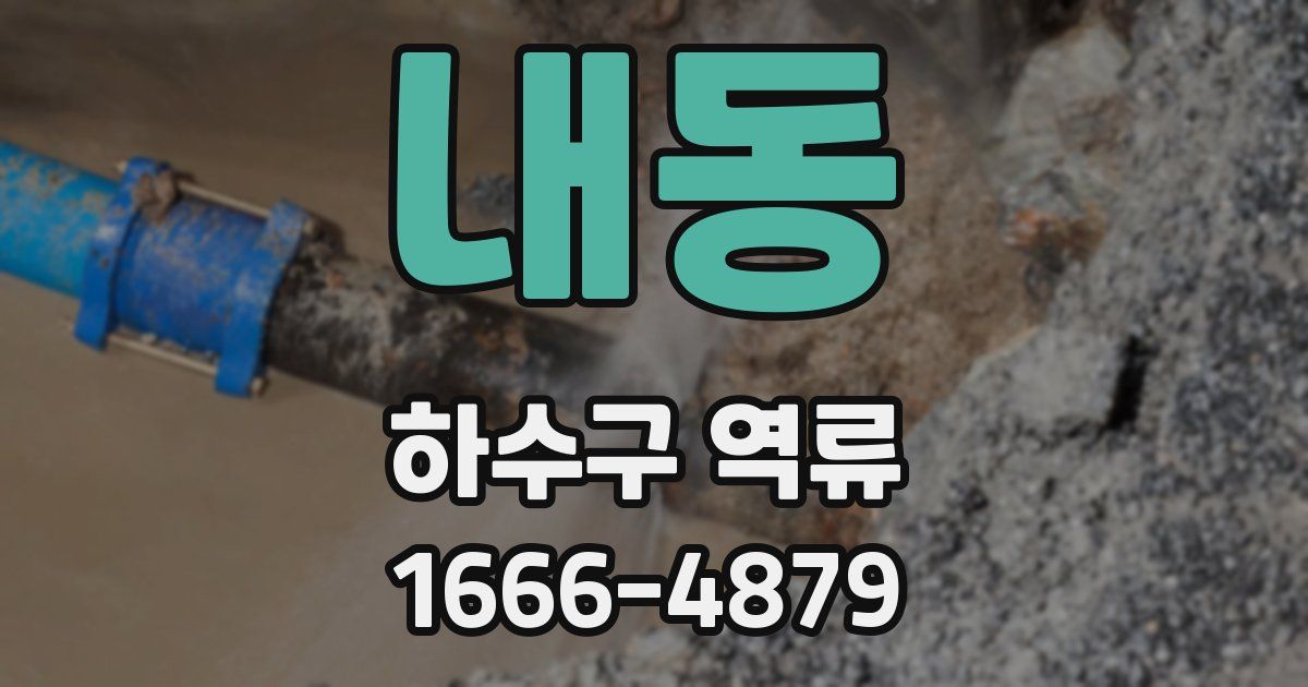 내동 하수구 역류