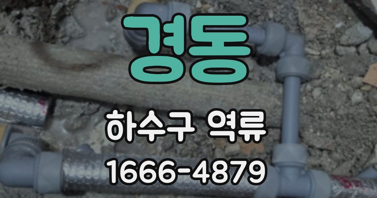 경동 하수구 역류