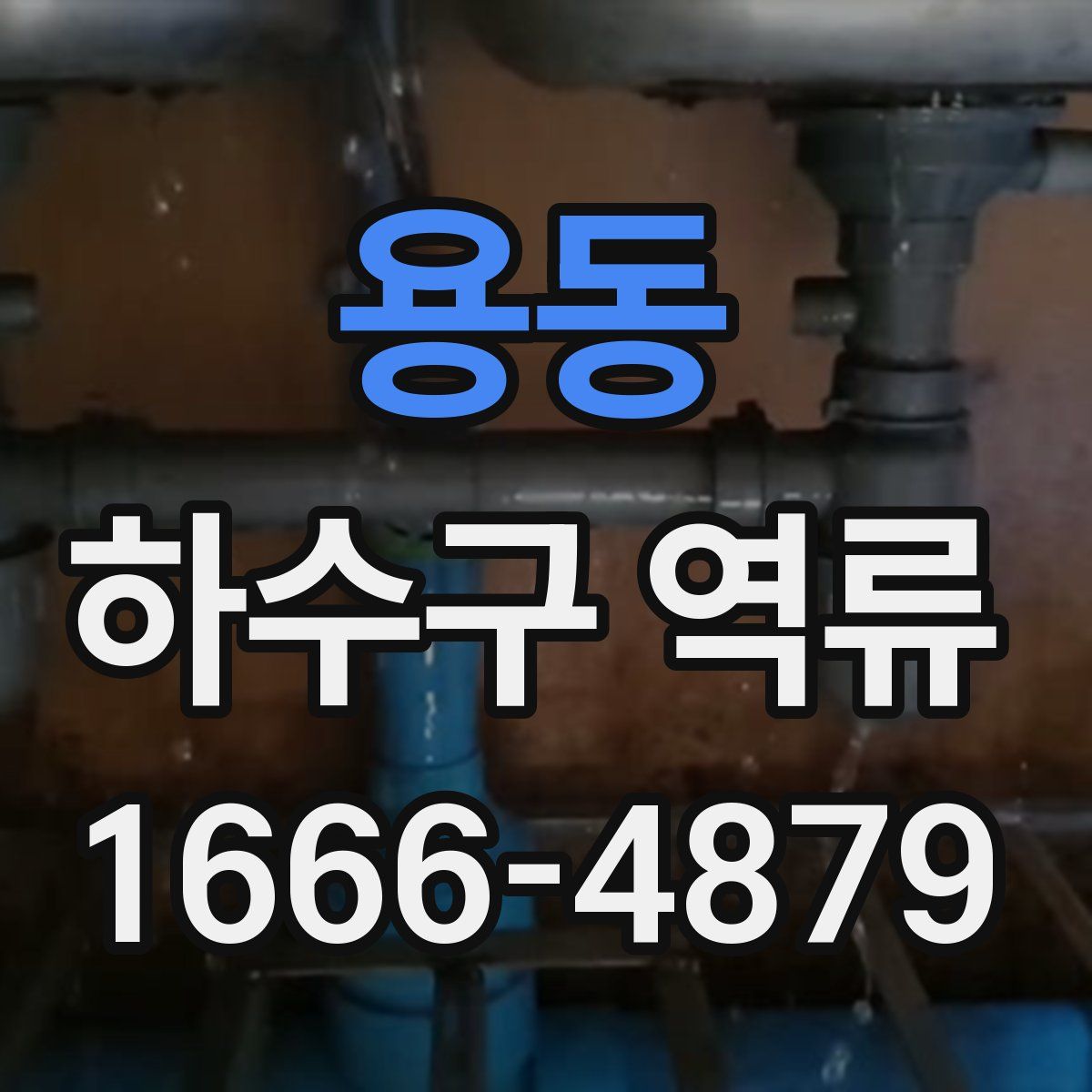 용동 하수구 역류