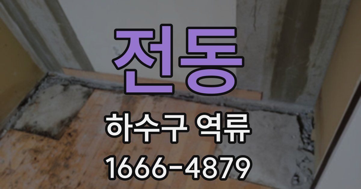 전동 하수구 역류
