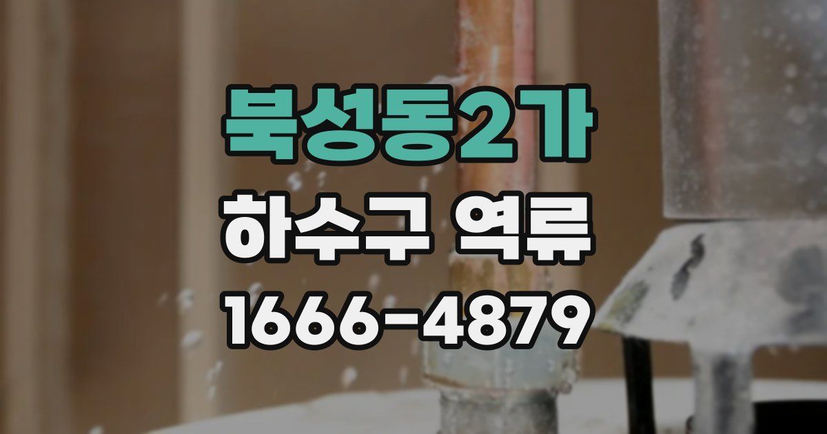 북성동2가 하수구 역류