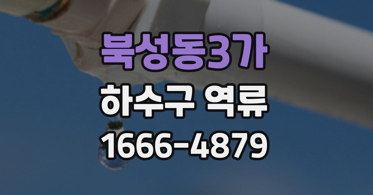 북성동3가 하수구 역류