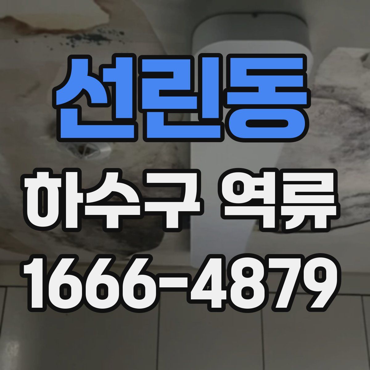 선린동 하수구 역류