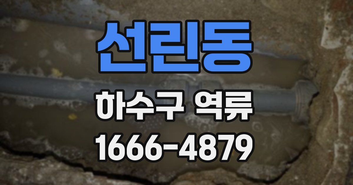 선린동 하수구 역류