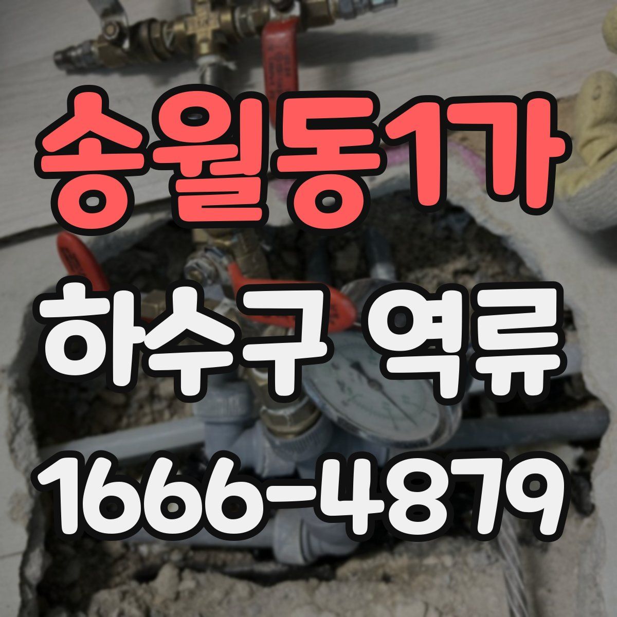 송월동1가 하수구 역류
