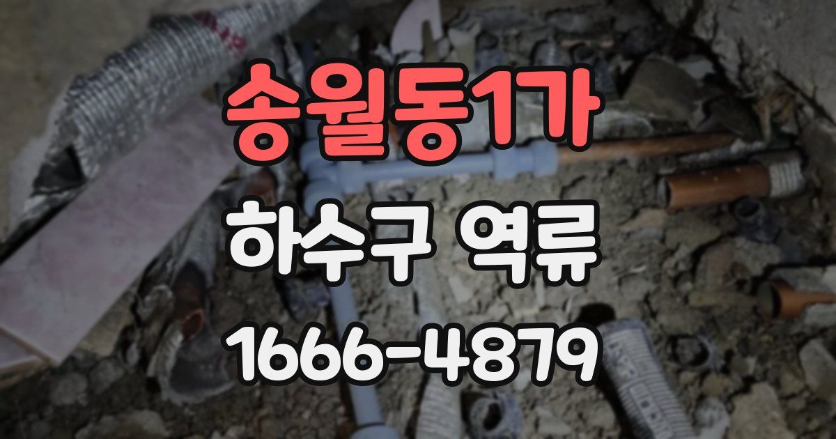 송월동1가 하수구 역류