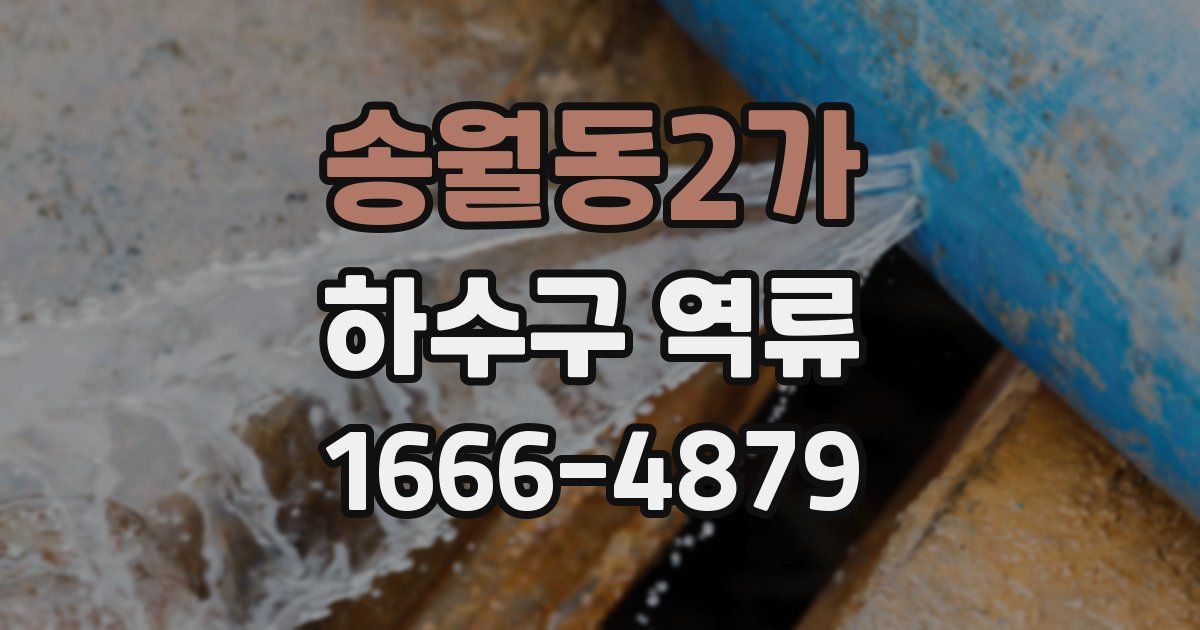 송월동2가 하수구 역류