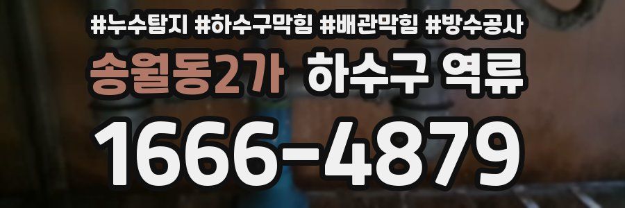 송월동2가 하수구 역류