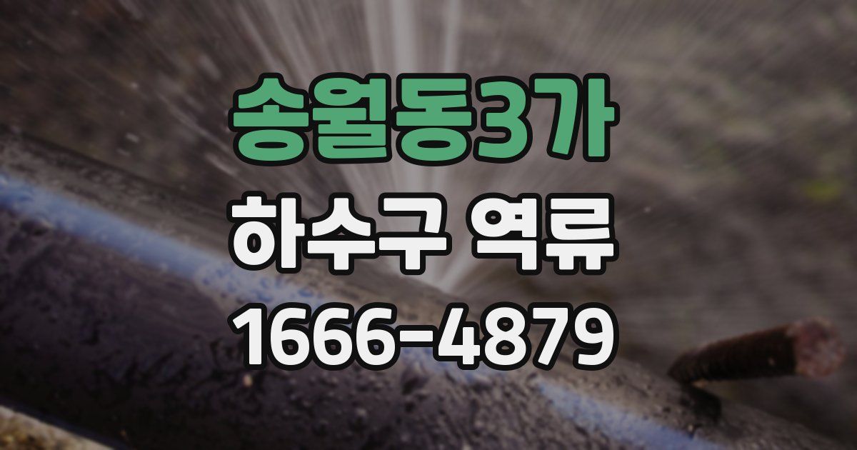 송월동3가 하수구 역류