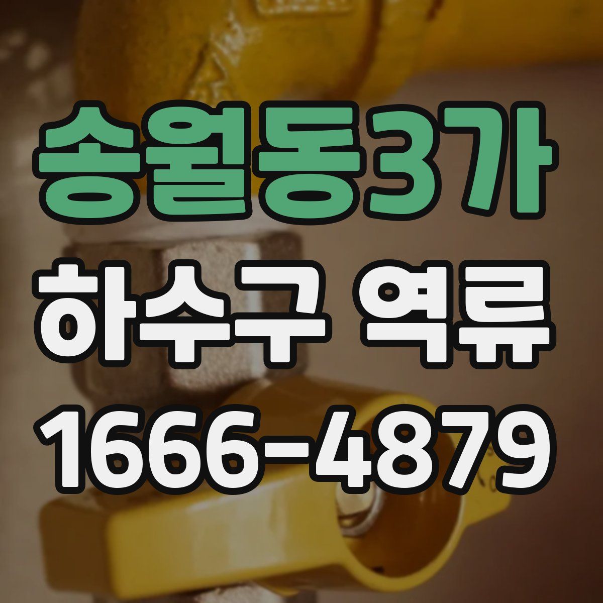 송월동3가 하수구 역류