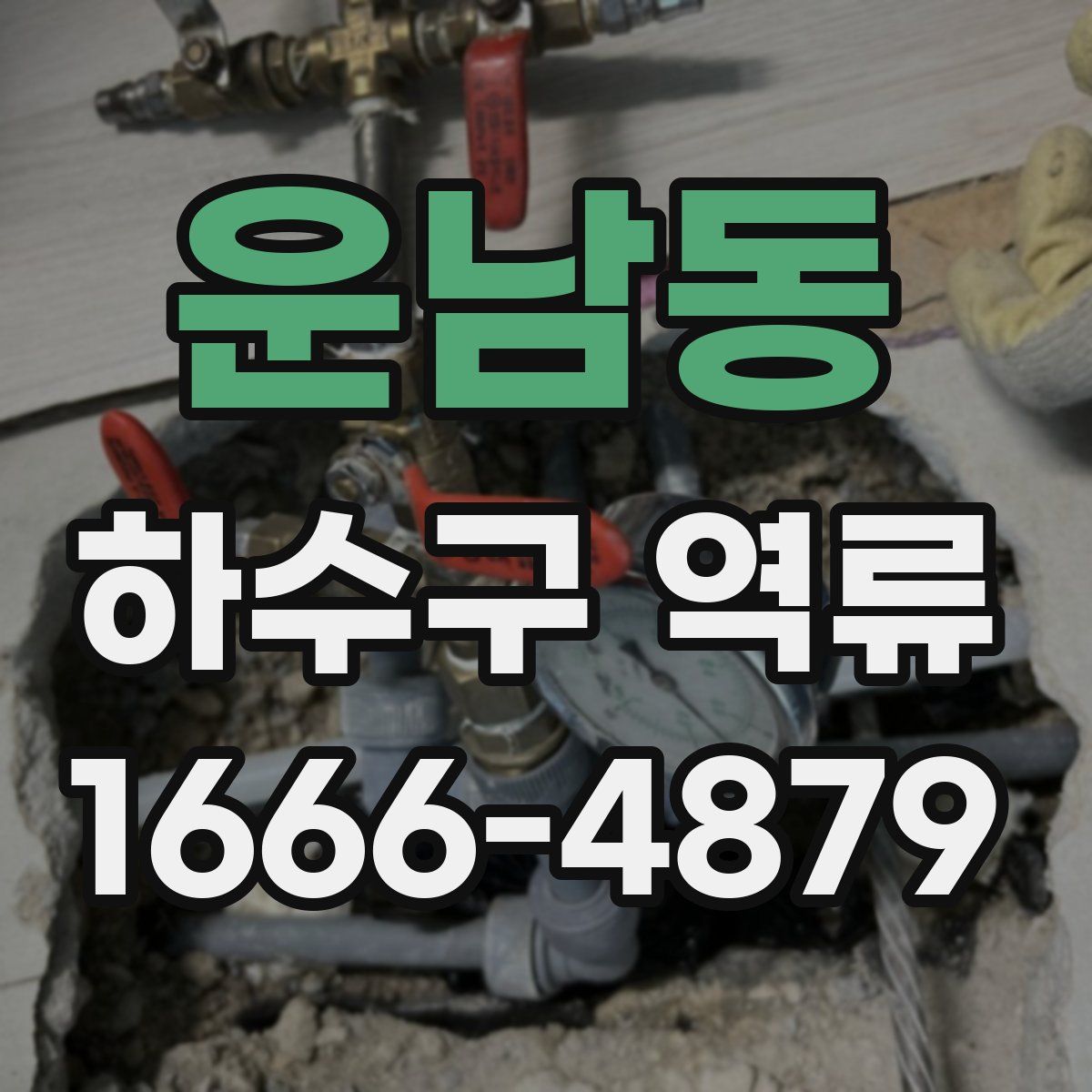 운남동 하수구 역류