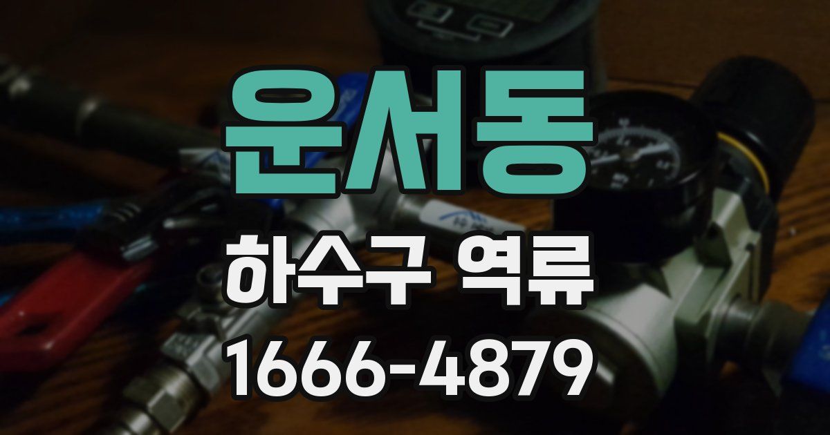 운서동 하수구 역류