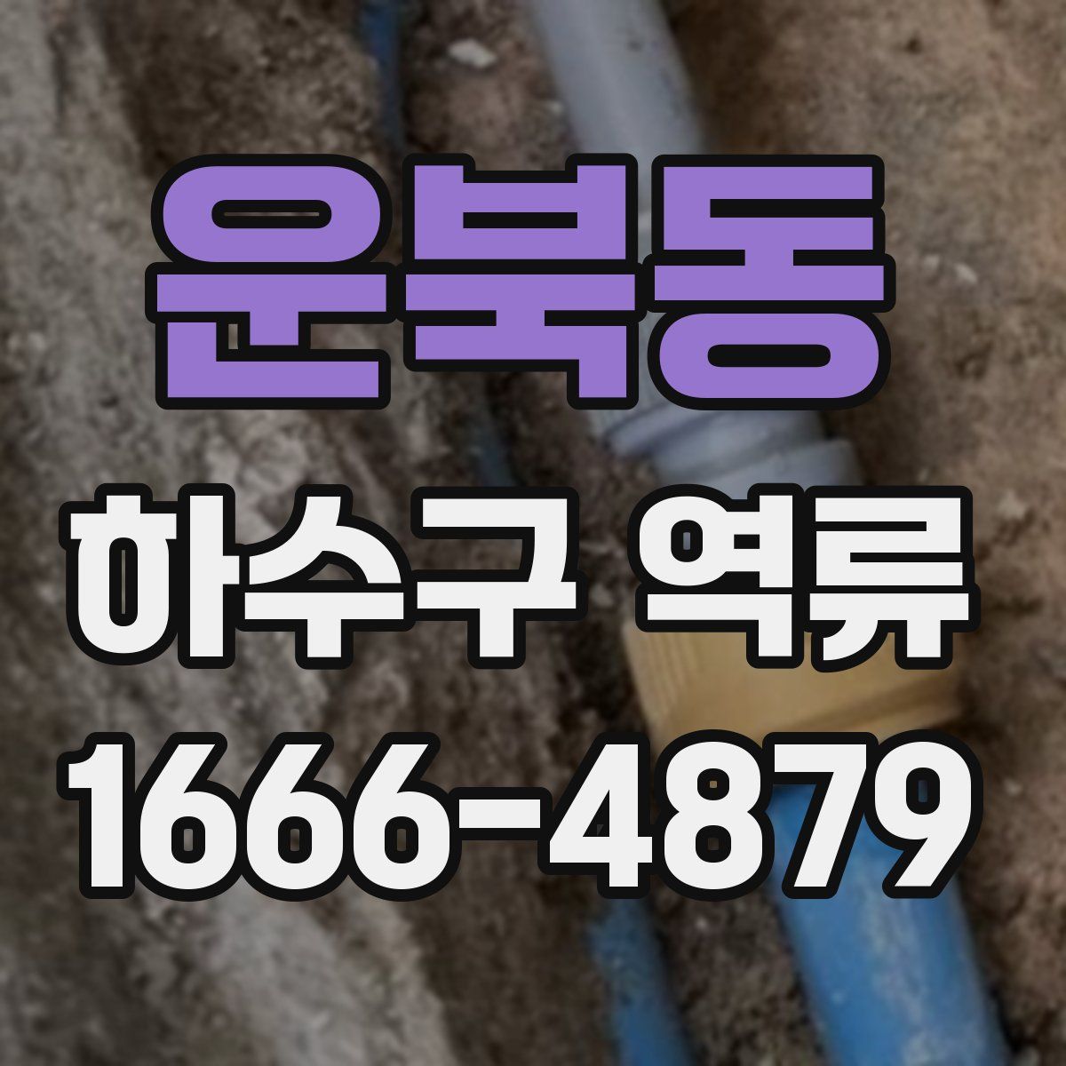 운북동 하수구 역류