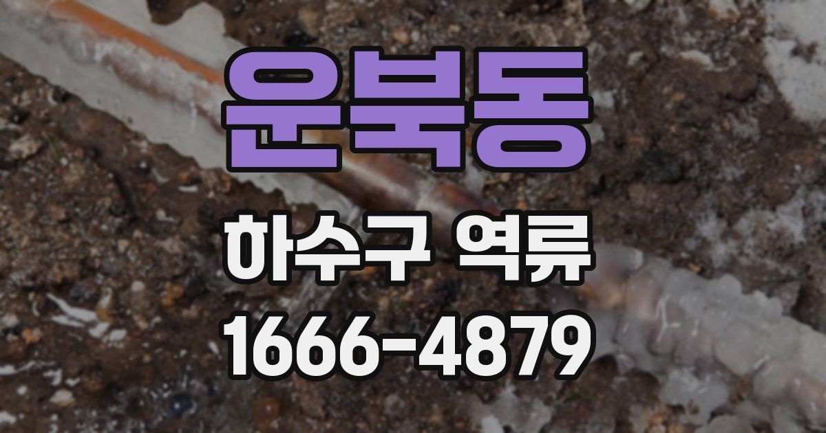운북동 하수구 역류