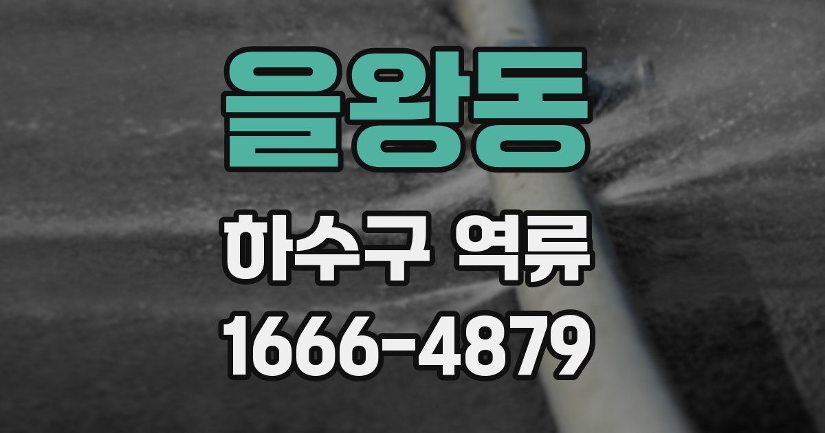 을왕동 하수구 역류