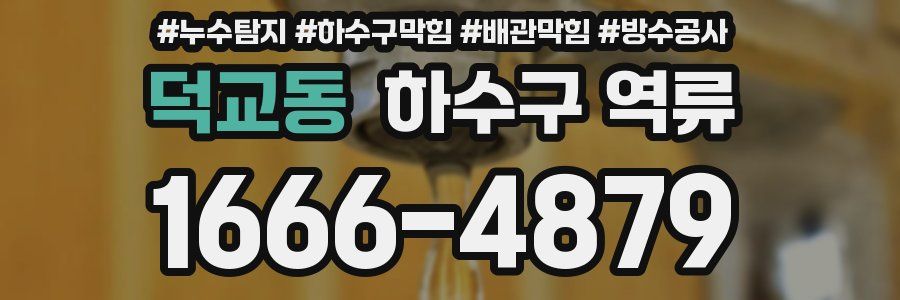 덕교동 하수구 역류
