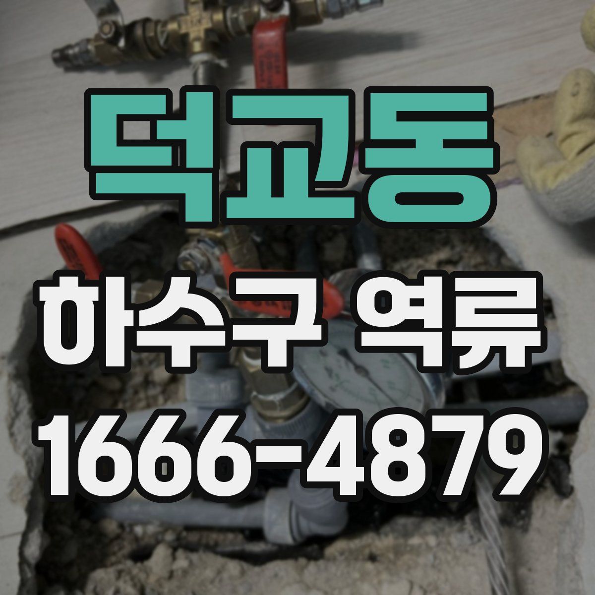 덕교동 하수구 역류
