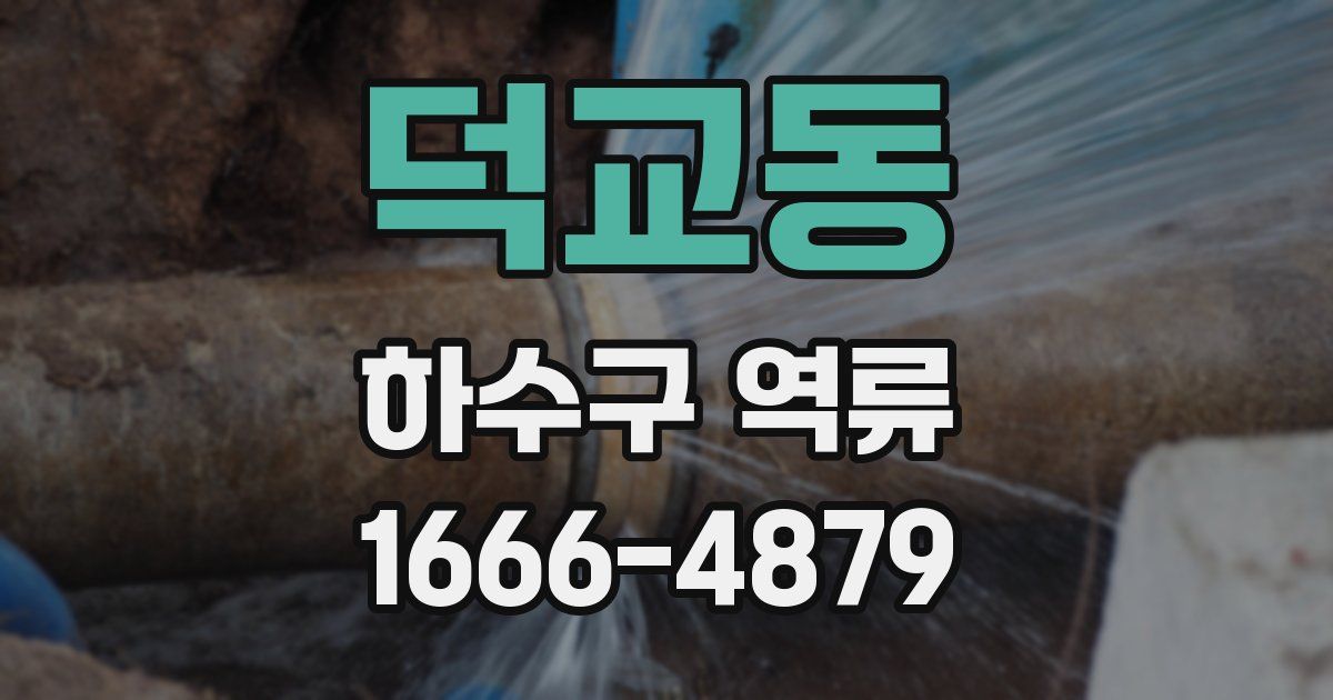 덕교동 하수구 역류