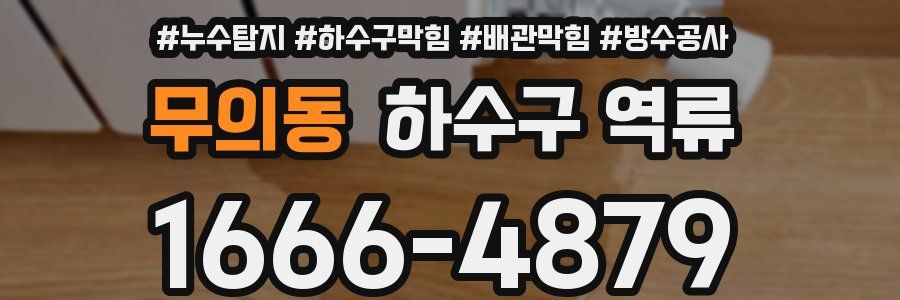 무의동 하수구 역류