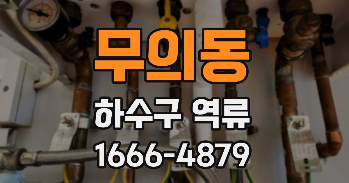 무의동 하수구 역류