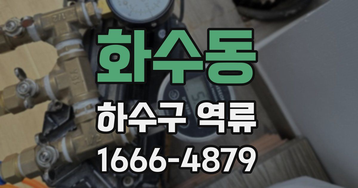 화수동 하수구 역류