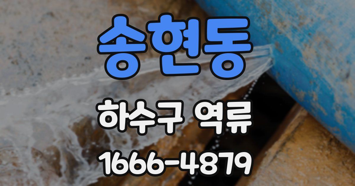 송현동 하수구 역류
