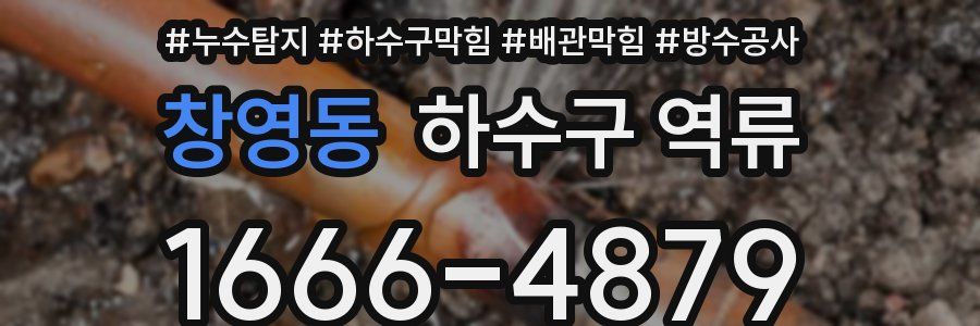 창영동 하수구 역류
