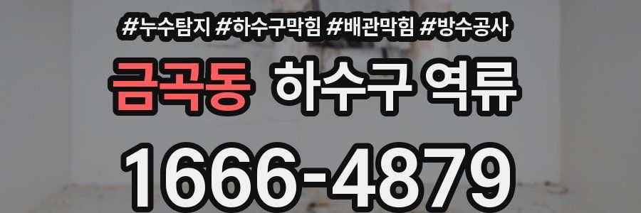 금곡동 하수구 역류